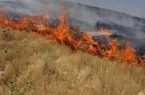 اقدامات  پیشگیرانه جهت عدم آتش زدن کاه و کلش مزارع در بهبهان