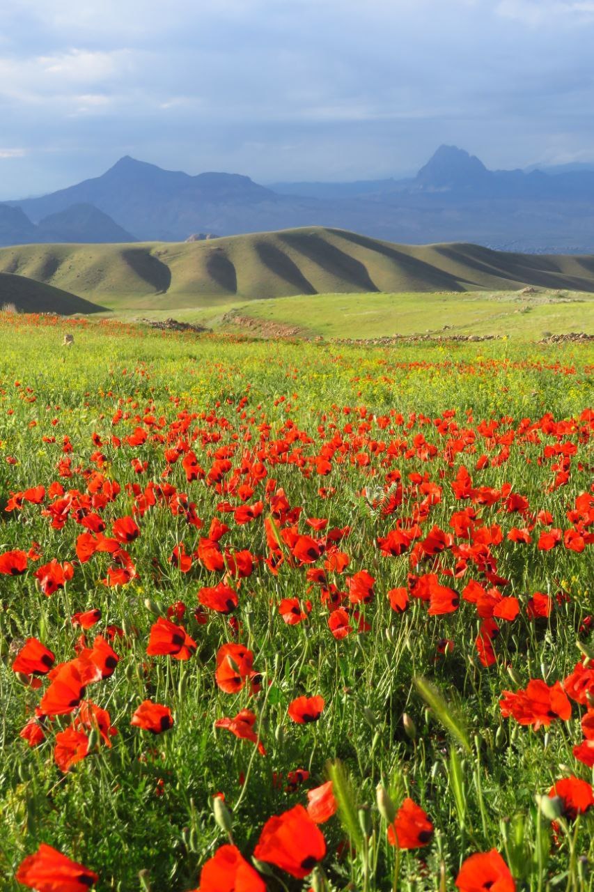 طبیعت زیبای بهاری   روستای سیه سران،جلفا،  آذربایجان شرقي